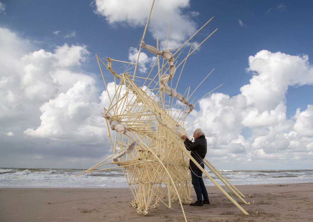 ESO | 1º Curso | Geografía e Historia
